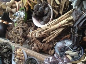 Guérison par la médecine traditionnel africaine